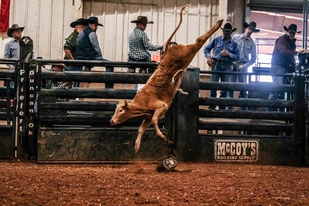 Out West Events 2024 In the Bull Pen Breeding, Raising and Growing