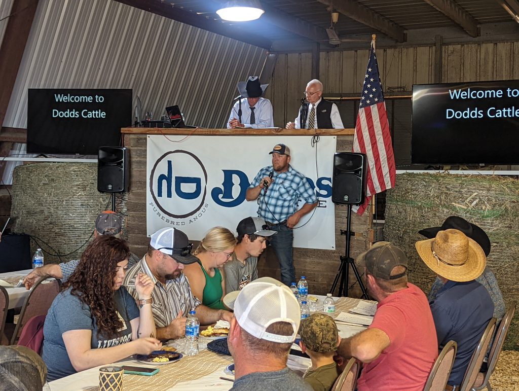 Dodds Cattle Angus Complete Dispersal - Vimarsana News