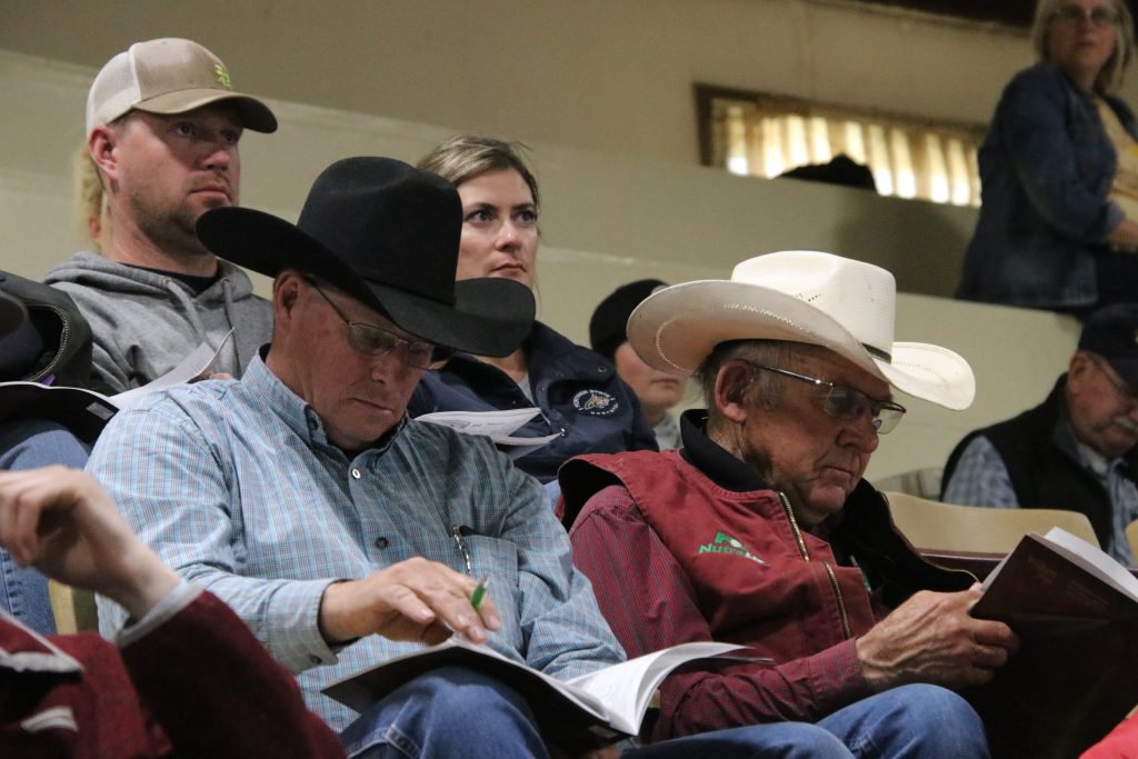 Wilken Angus Spring Turn Out Bull Sale | TSLN.com