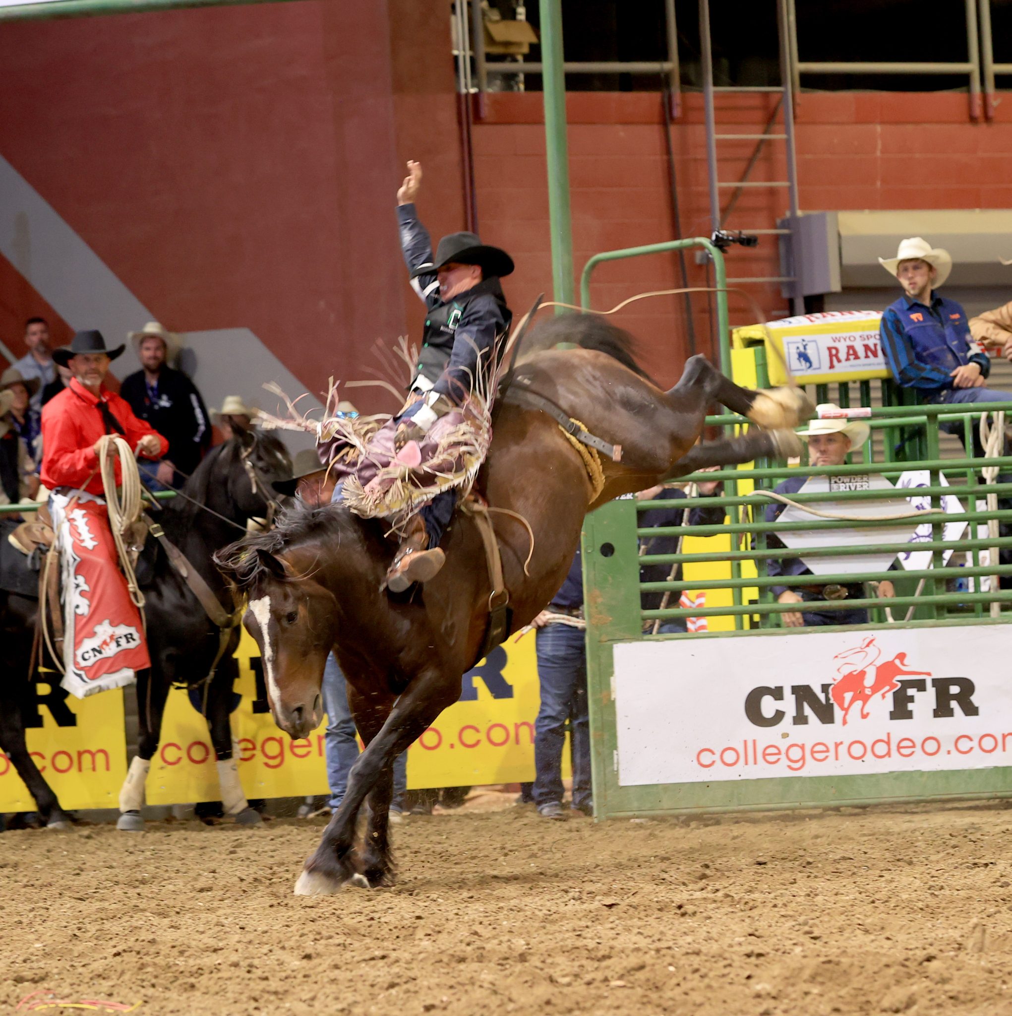 Wyoming’s Timberman takes bareback champion title at College National ...
