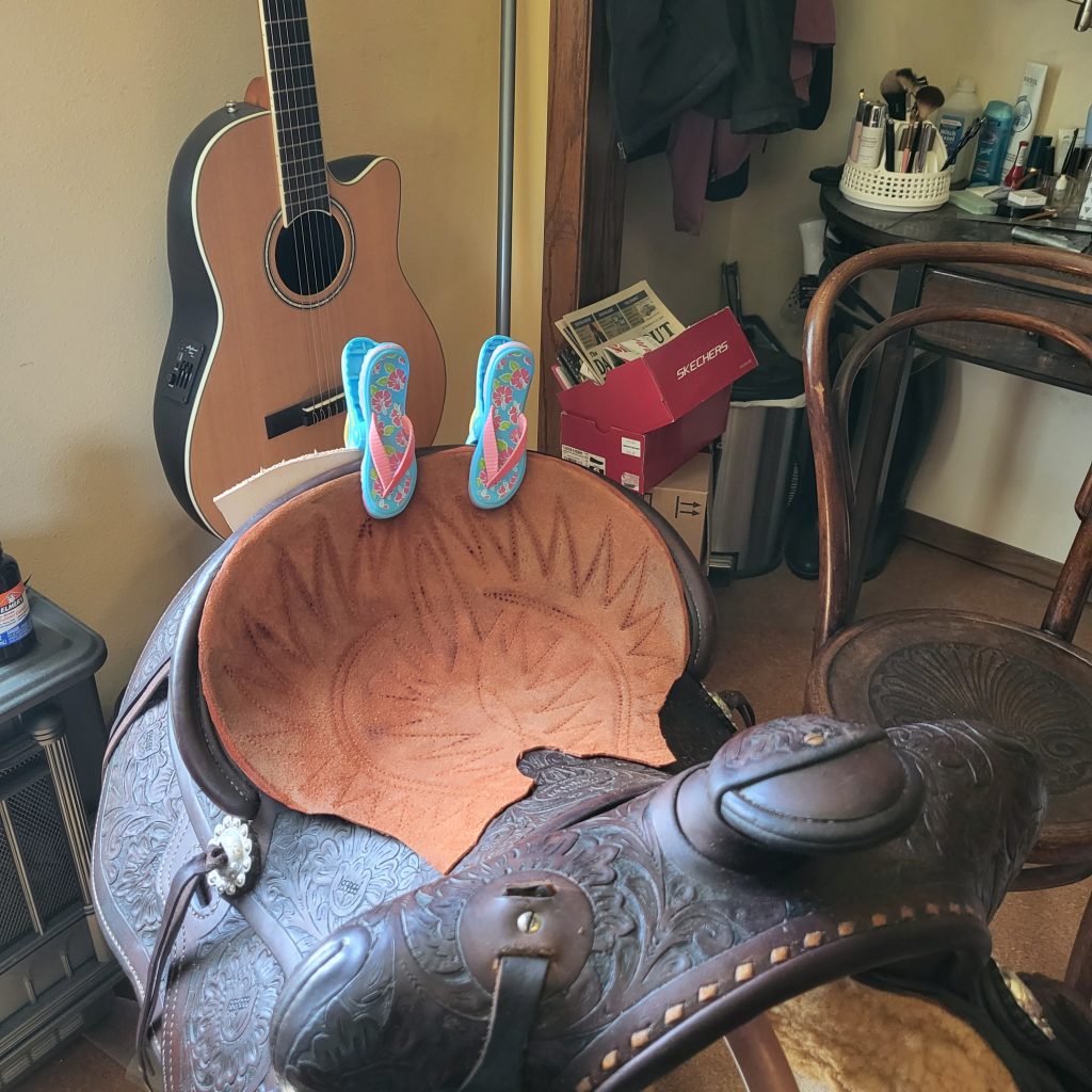 2024 Horse Roundup Theresa Humphrey and the Connolly Saddle