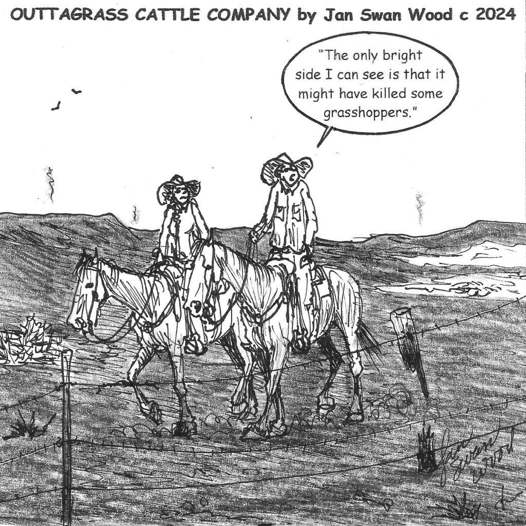outtagrass-cattle-company-tsln