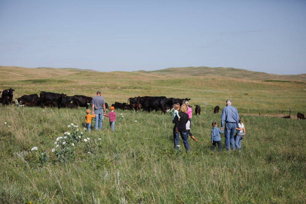 Connealy Commerce Customer First Mentality: Connealy Angus recognized by Certified Angus ...