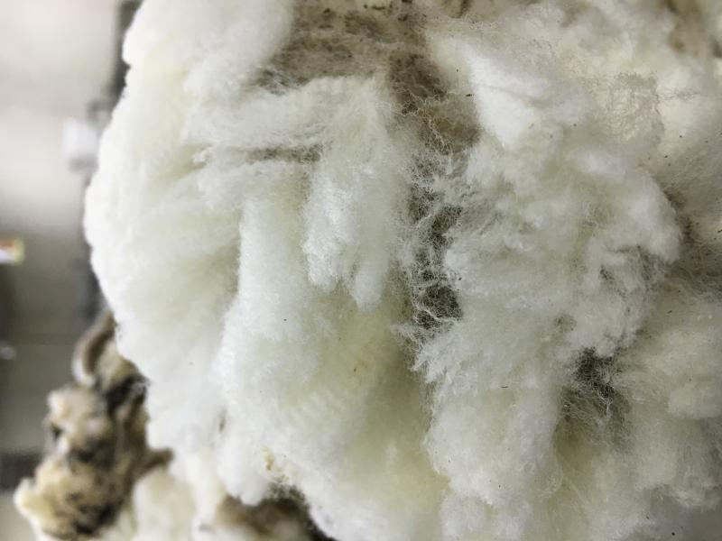 North Dakota Hettinger Research Extension Center to host shearing and