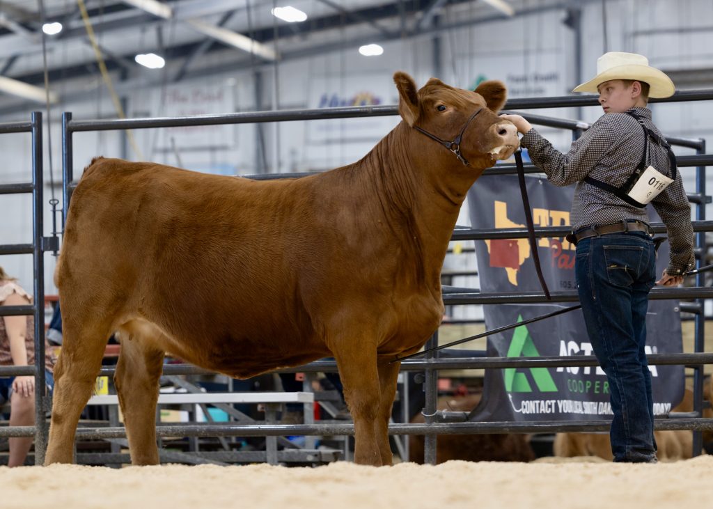 2024 Fall Cattle Journal | Beastrom Ranch | TSLN.com