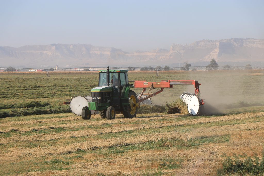 Test, Don’t Guess – sampling and testing hay | TSLN.com