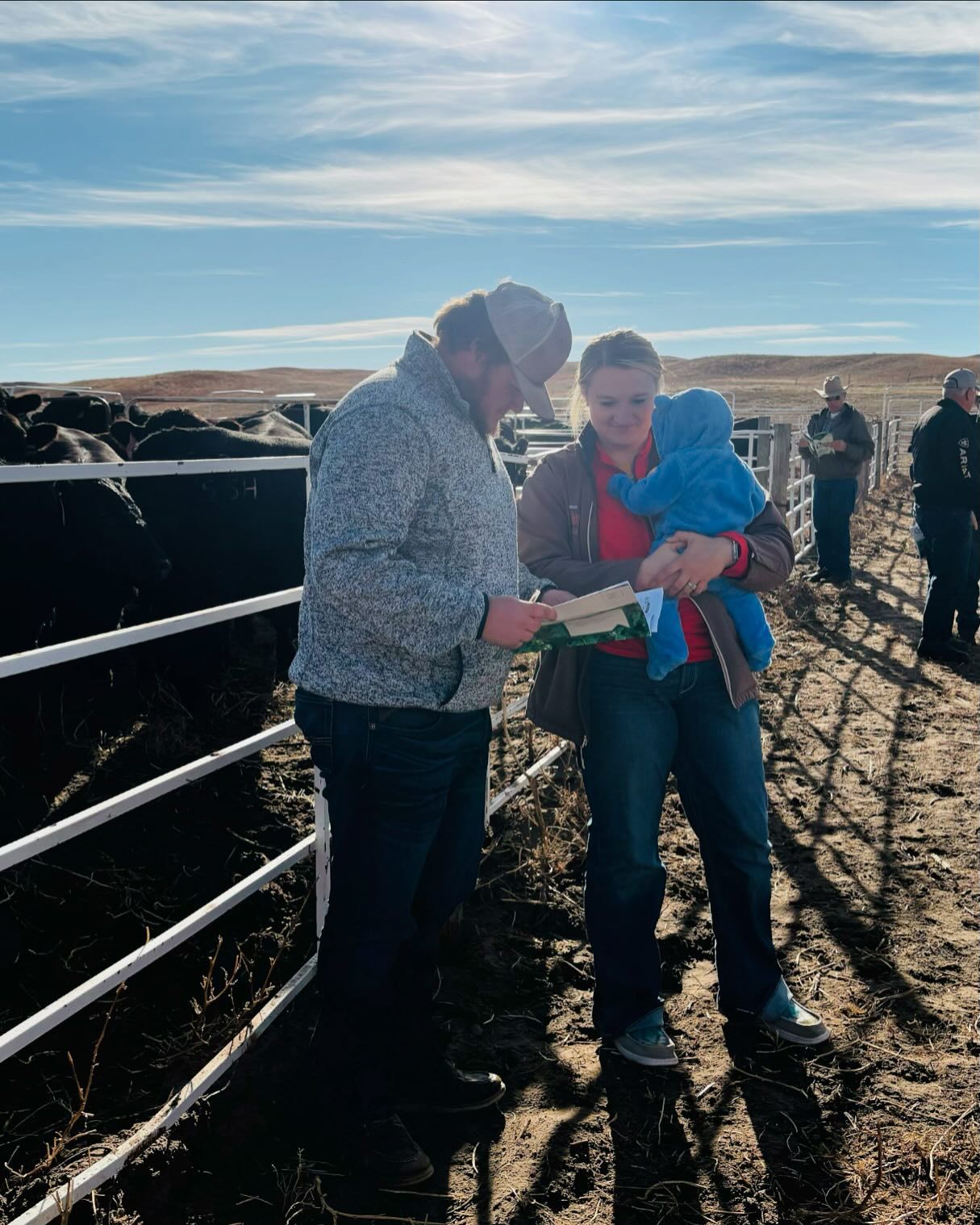 Connealy Commerce Connealy Angus Annual Fall Bull Sale | TSLN.com