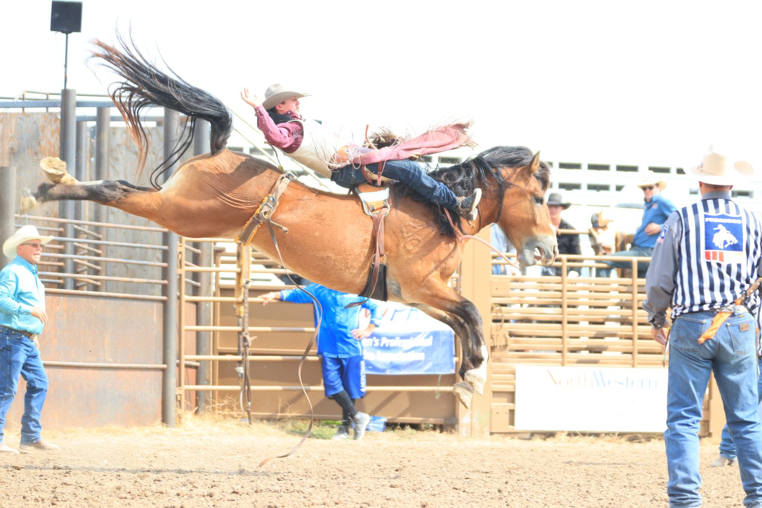 THE YELLOW CHUTES OF VEGAS Bronc riders, bareback riders to compete