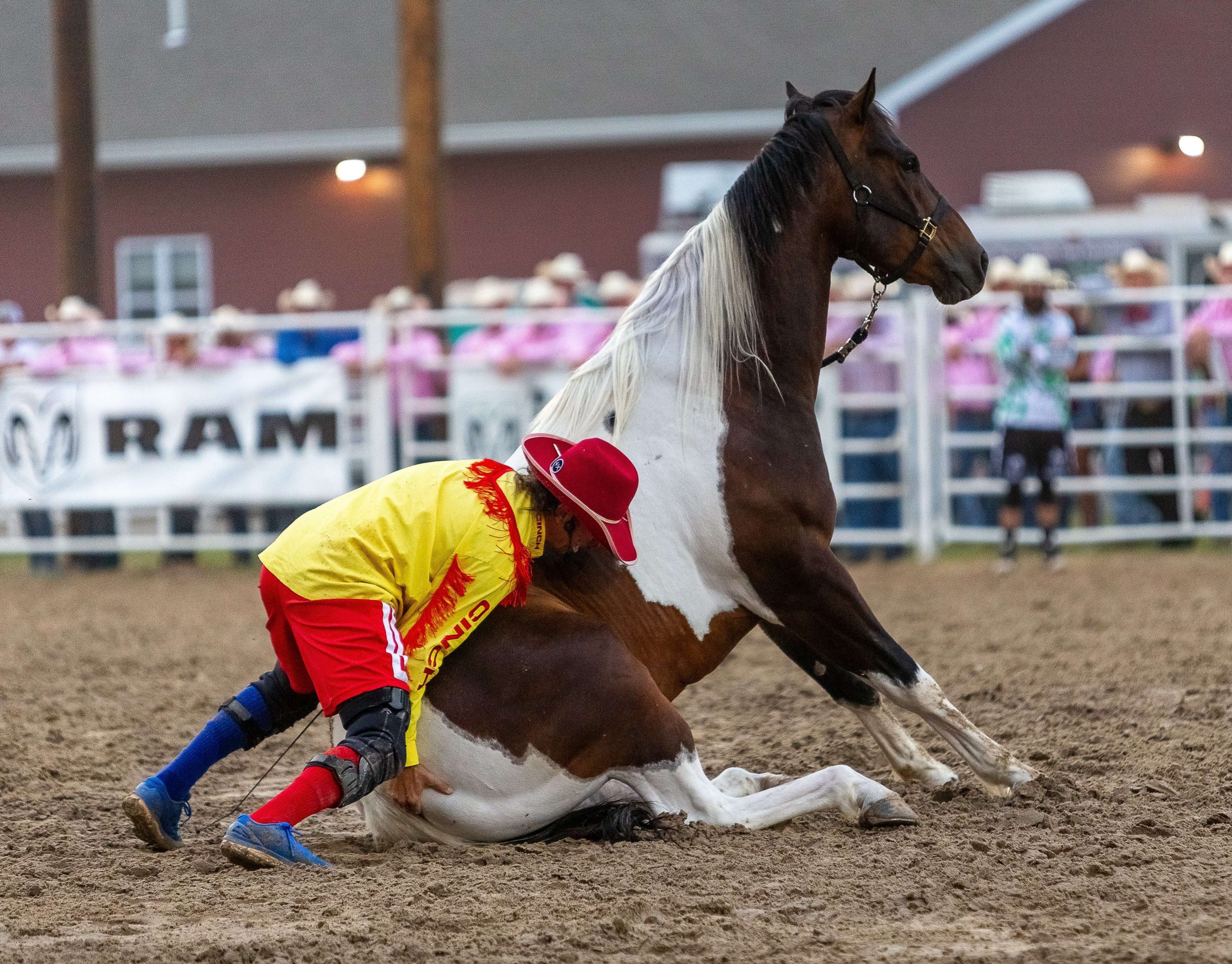 Meet Snoopy, the (more than) one-trick pony | TSLN.com