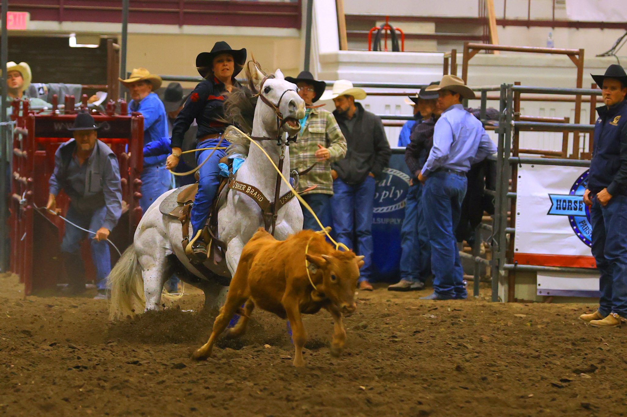 BADLANDS’ BEST: Champs crowned in Minot at Circuit Finals Rodeo | TSLN.com