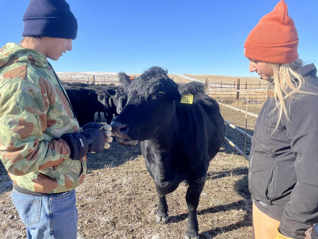 Fall Cattle Journal 2025 | Marty Edwards: Restoring a prairie ecosystem ...