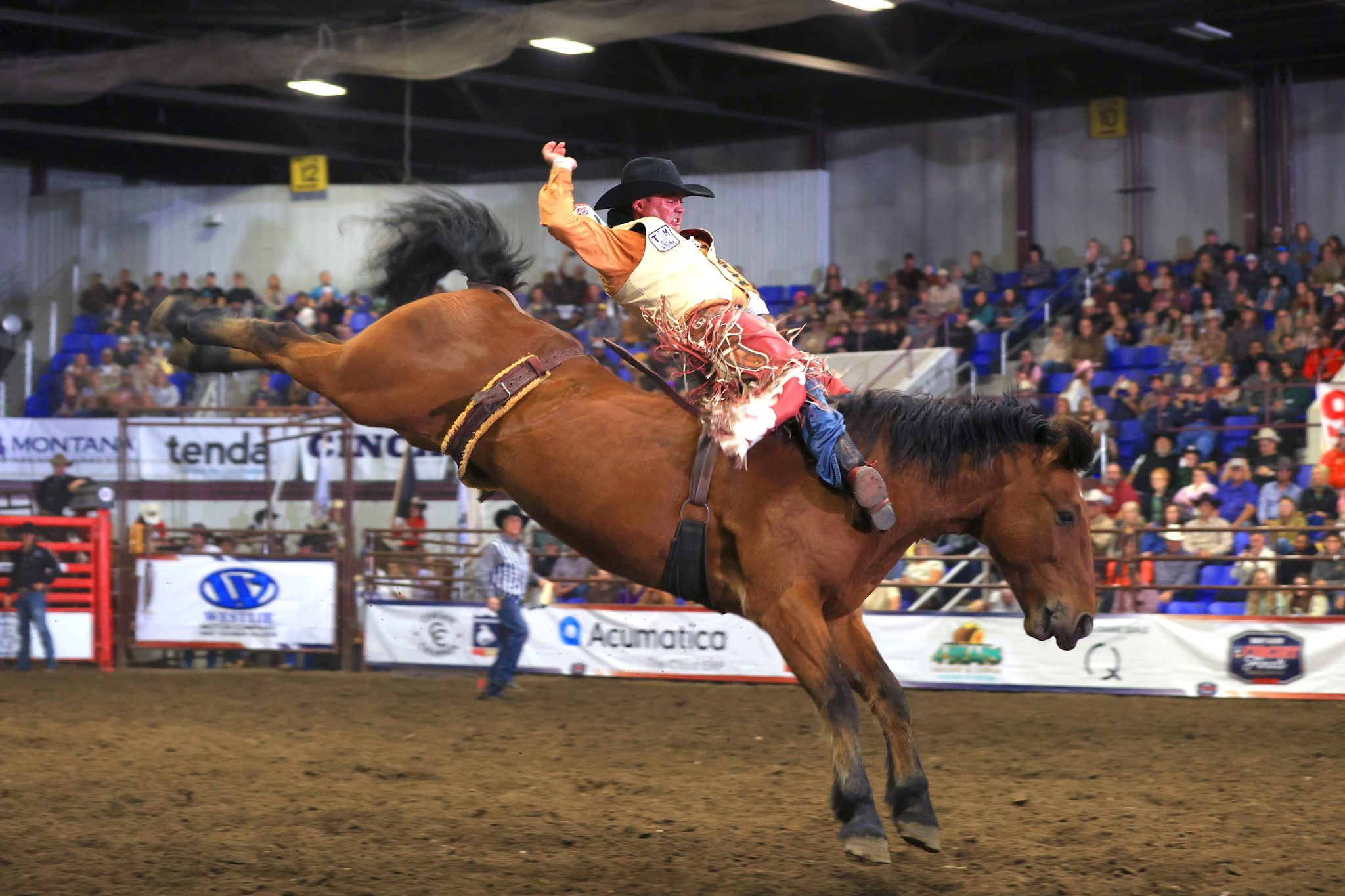 Top Stock: Award-Winning Bucking Horses and Bulls of the Badlands ...