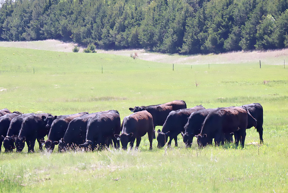 Knowing Growing Grazing Grass course enhances knowledge and decision ...