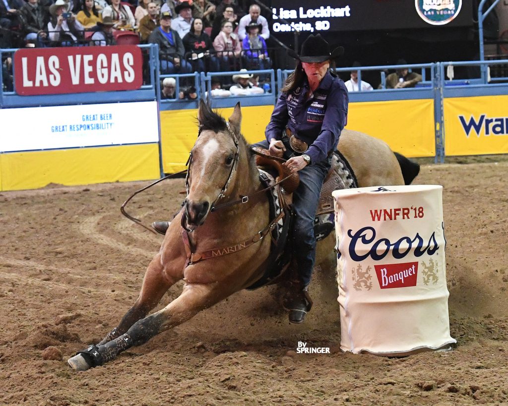 Good Horsepower: SDQHA Living Legacy Lisa Lockhart