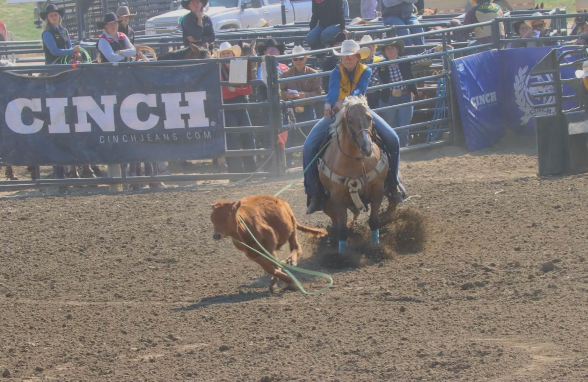 SDSU student ends rodeo season as No. 1 in breakaway roping | TSLN.com