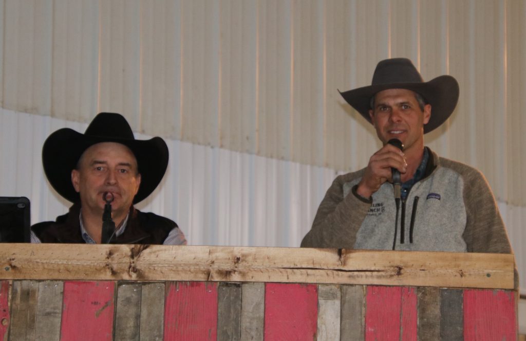 Dowling Ranch Commercial Bred Heifer Sale & J Spear Ranch 2 Year Old Bull Sale