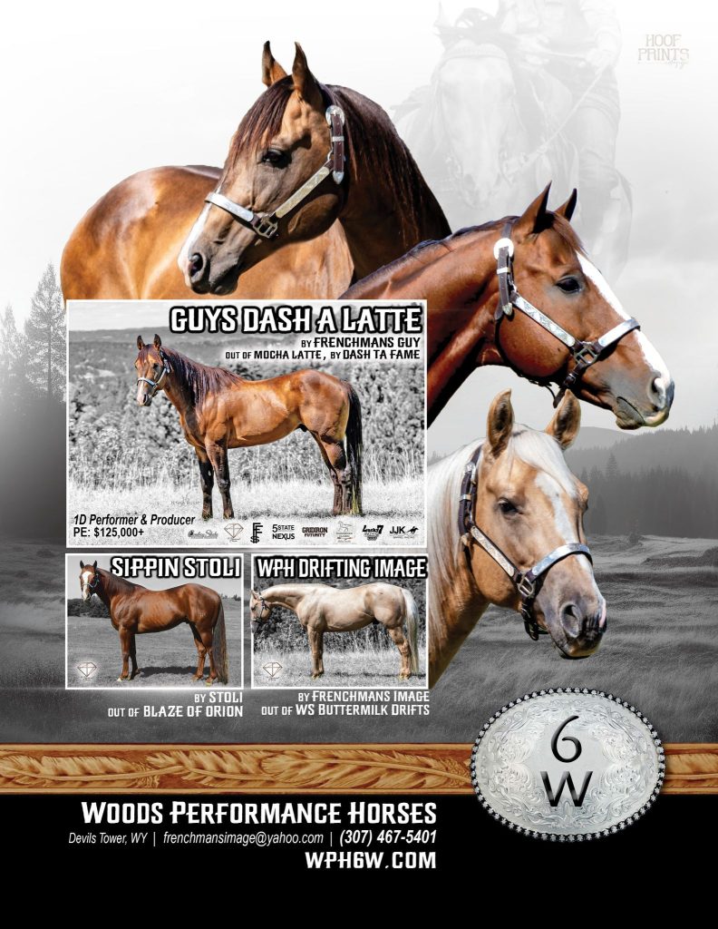 Stallion Showcase 2026 | Wood's Performance Horses: Focused on