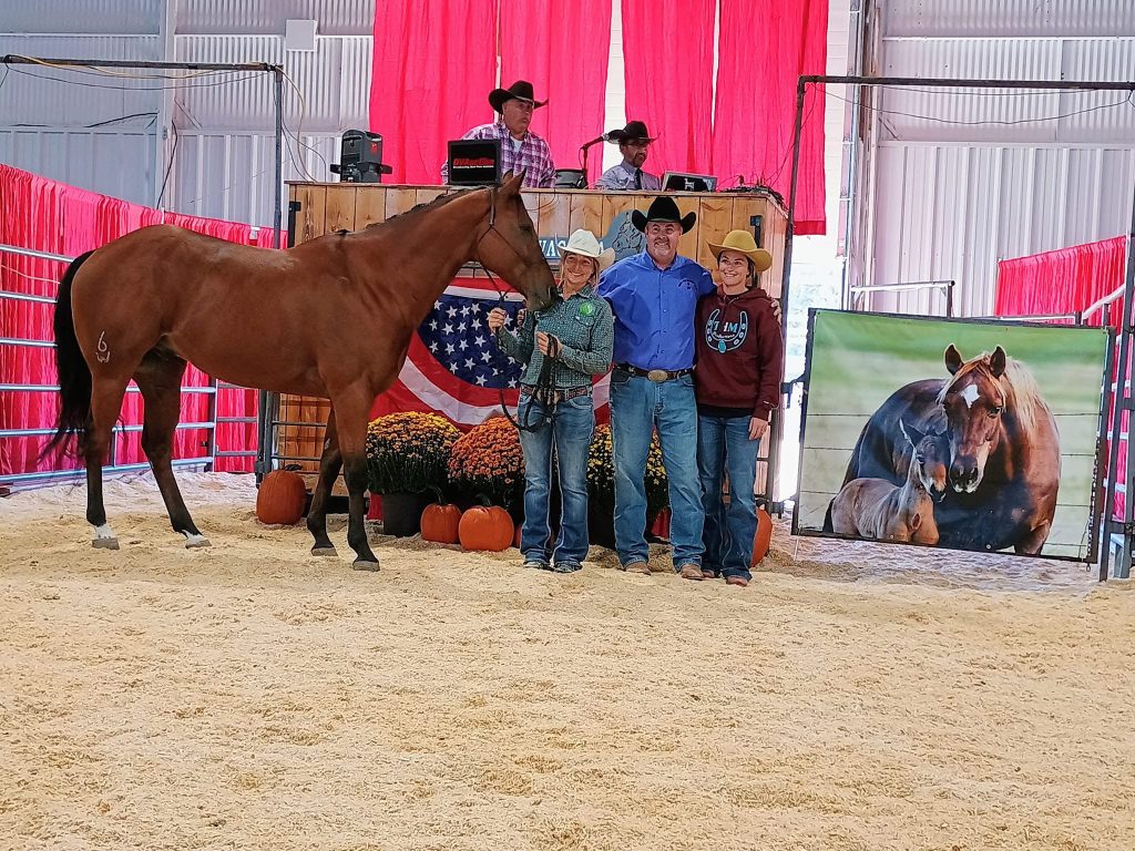 Stallion Showcase 2026 | Wood's Performance Horses: Focused on