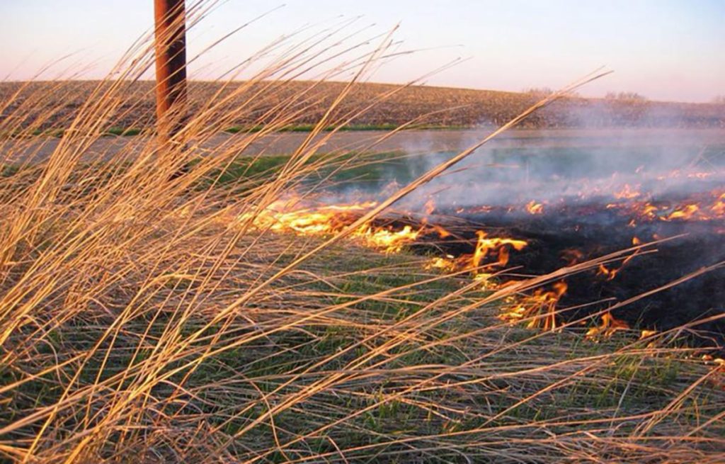 SDSU Extension to participate in seminar on protecting grasslands from ...