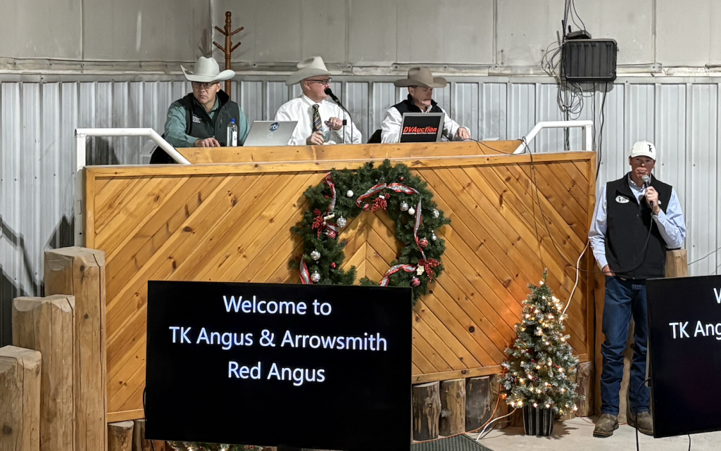 TK Angus 43rd Production Sale