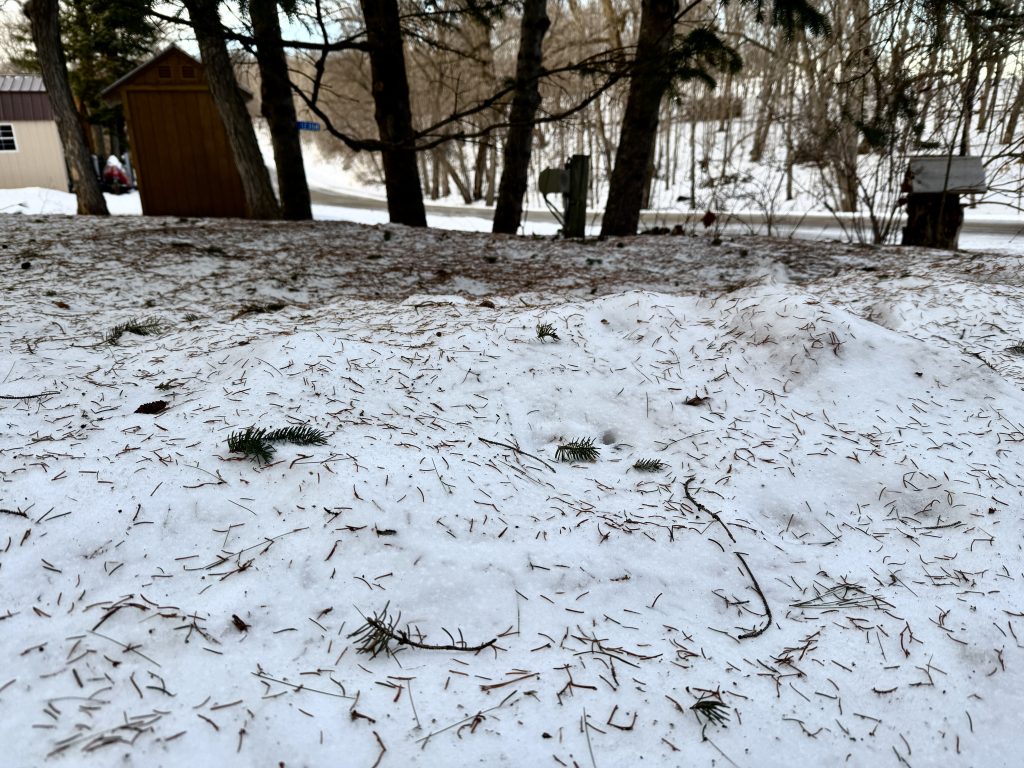 Dakota Gardener: The days are getting longer