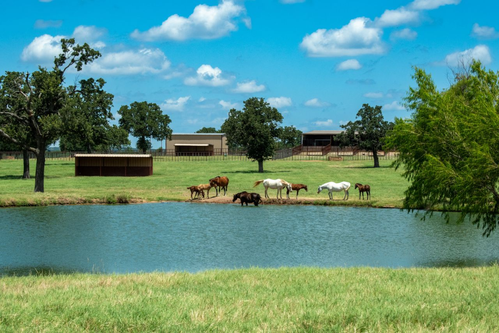 Theorem Ranch Acquires Teton Ridge’s Iconic TR9 Ranch & Equestrian ...