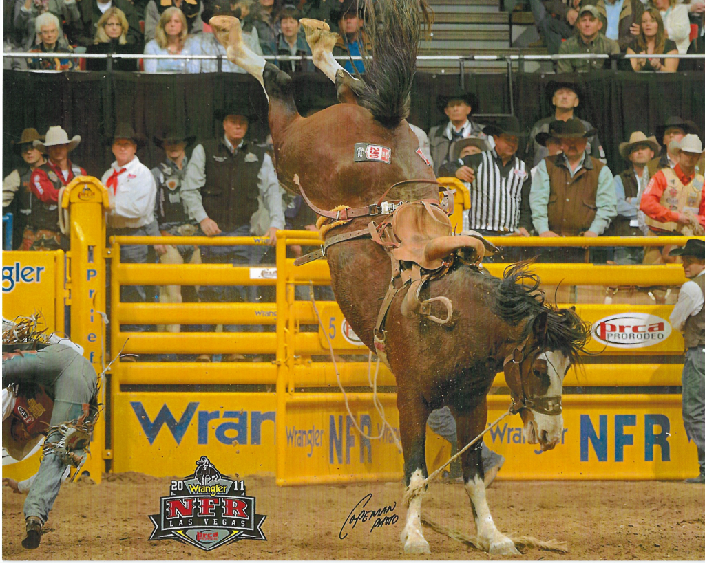 BHSS Premier 2026 | Centennial Celebration: Sutton Rodeo Co. celebrates ...
