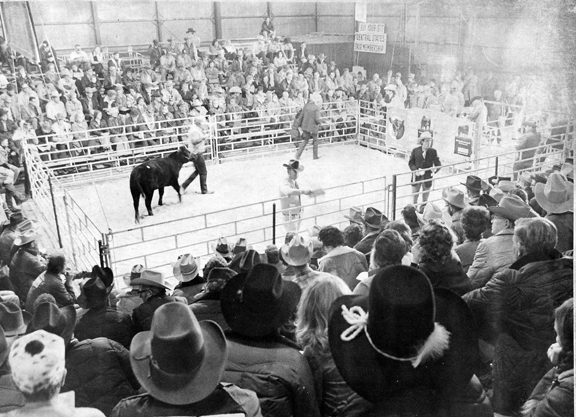 BHSS Premier 2026 | The Legacy and Growth of the Black Hills Stock Show 