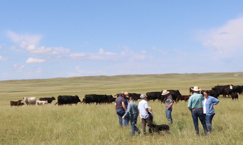 Farm & Ranch Succession Workshops Offered in Sidney and Scottsbluff