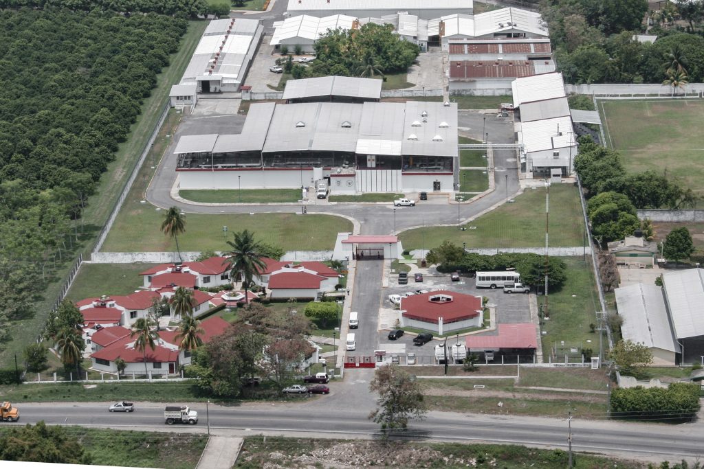 USDA Announces New World Screwworm Grand Challenge, Mexican sterile fly plant 50 percent complete