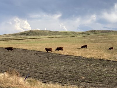 2026 North Dakota Reclamation Conference set for March 3-4
