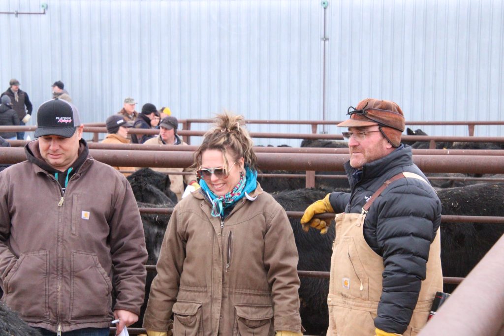 21 Angus Ranch 21 Angus 32nd Annual Top Cut Bull Sale | TSLN.com