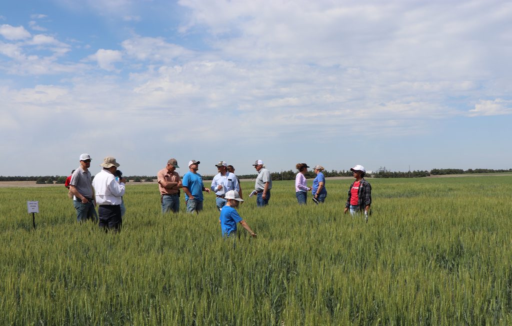 Dryland Production Research in the High Plains to be highlighted at public meeting