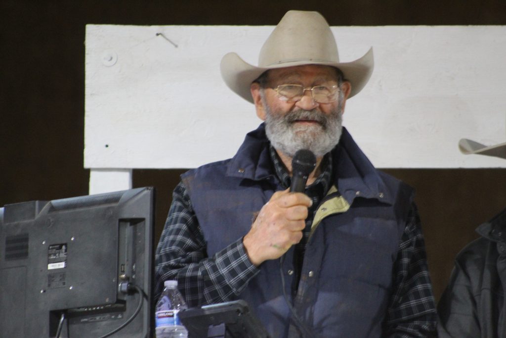 Nelson Livestock Company, Bulls for the Big Country