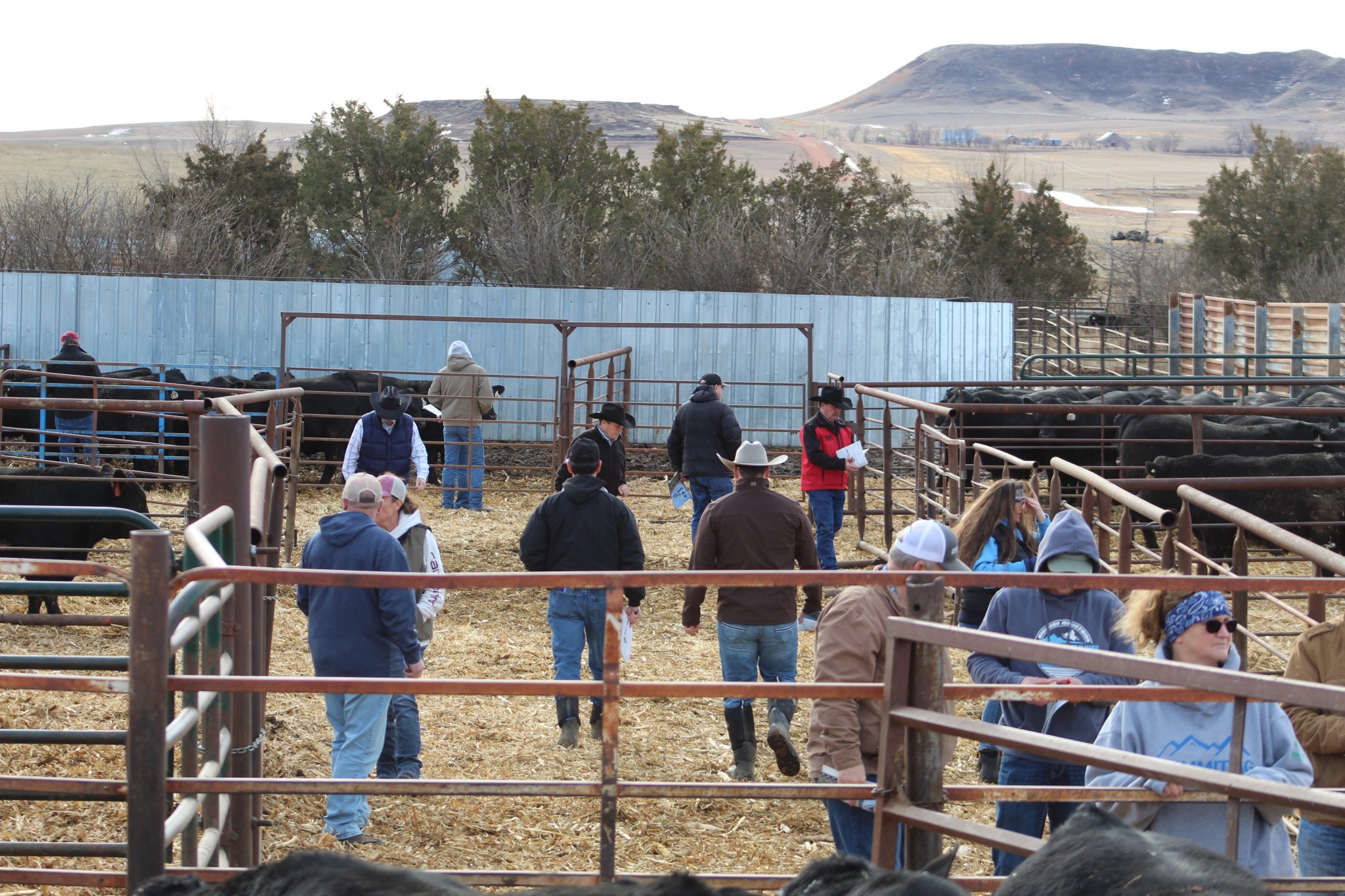 Begger’s Diamond V Ranch | TSLN.com