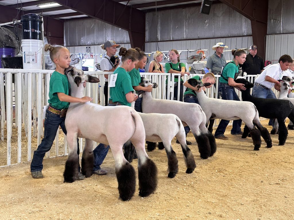 Exhibitors must follow regulations when bringing project animals into North Dakota