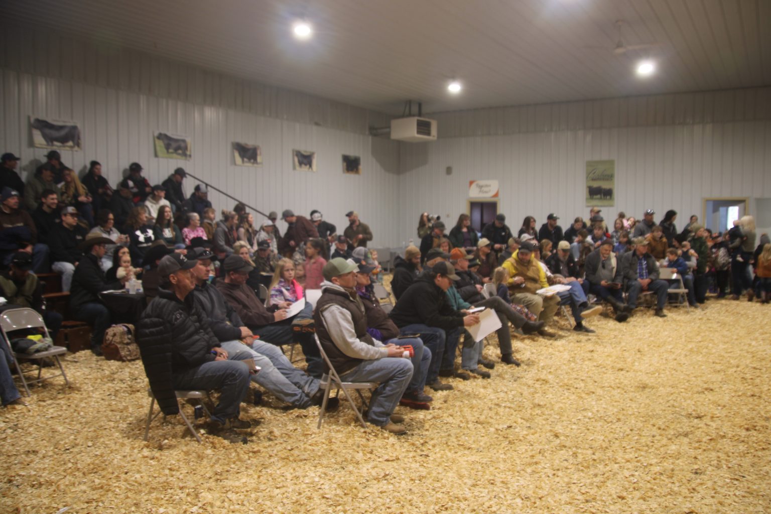 Carlson Angus Ranch 44th Annual Production Sale | TSLN.com