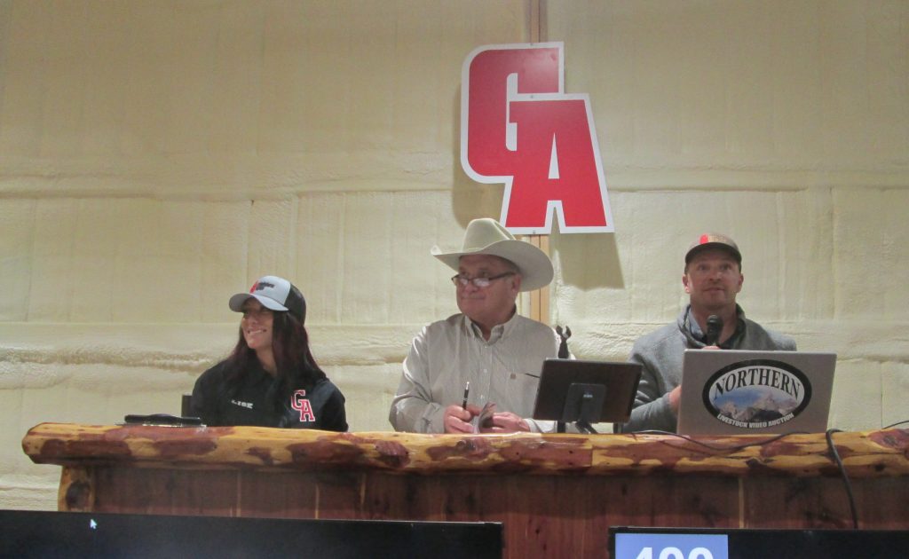 Grandview Angus  Annual Bull Sale