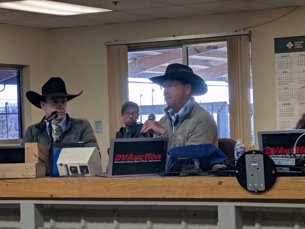 Bowlin Cattle Company Bull & Heifer Sale