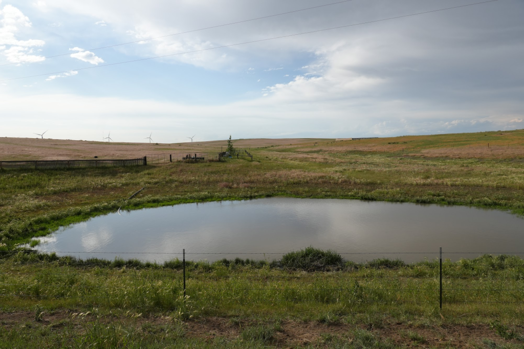 Ag Day Feature: Sustainability and The Beef Checkoff