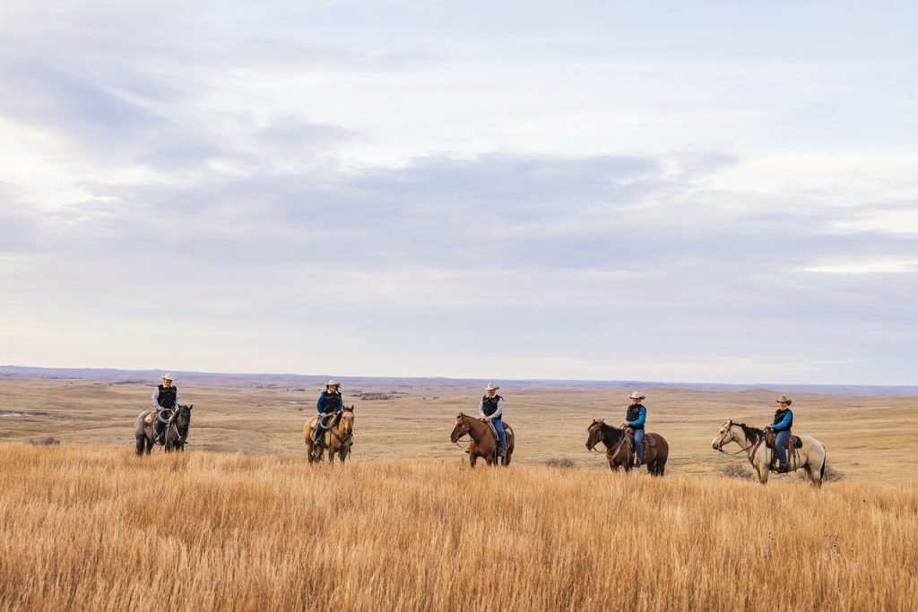 All about a ranch horse: Capp Ranch receives SDQHA Ranching Legacy ...