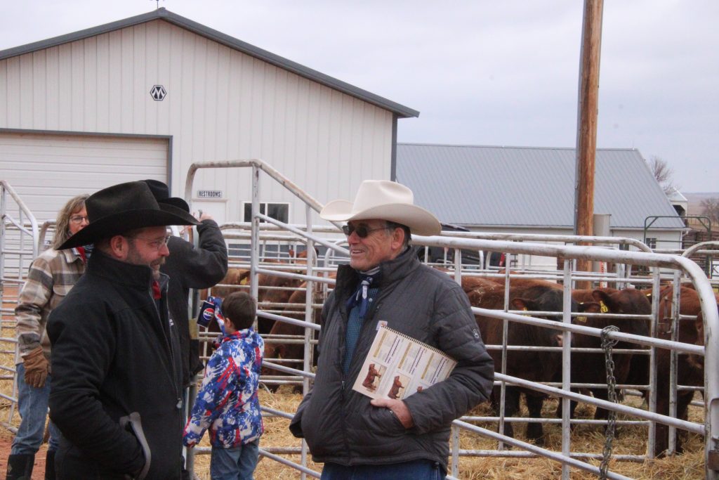 Leland Red Angus & Koester Red Angus 43rd Annual Production Sale