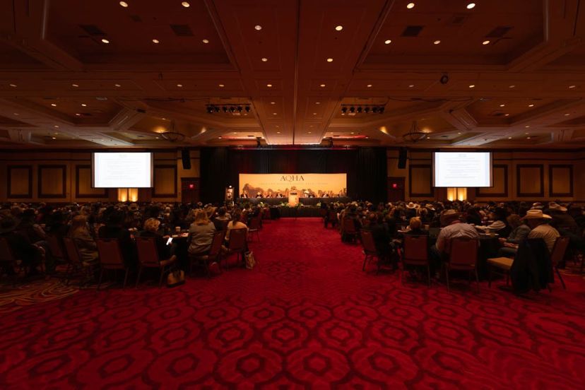 AQHA Recognizes Industry Leaders at 2026 AQHA Convention