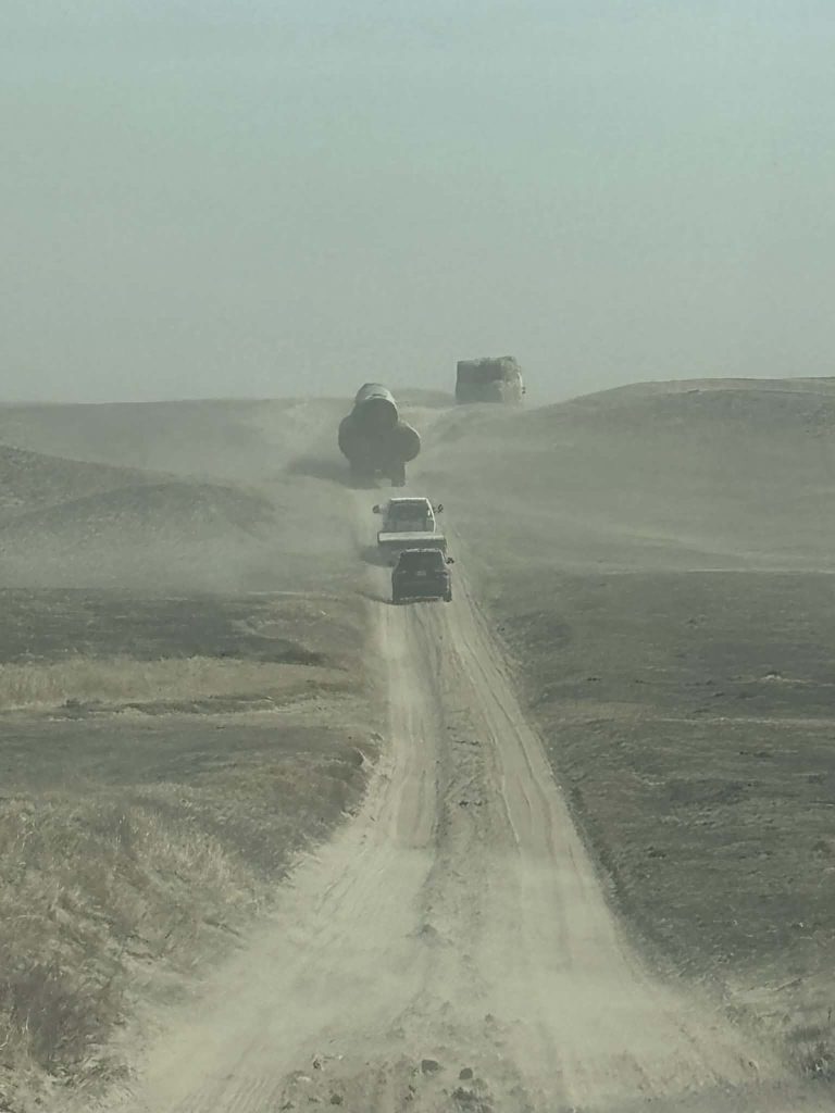 Emergency cattle nutrition strategies after a wildfire