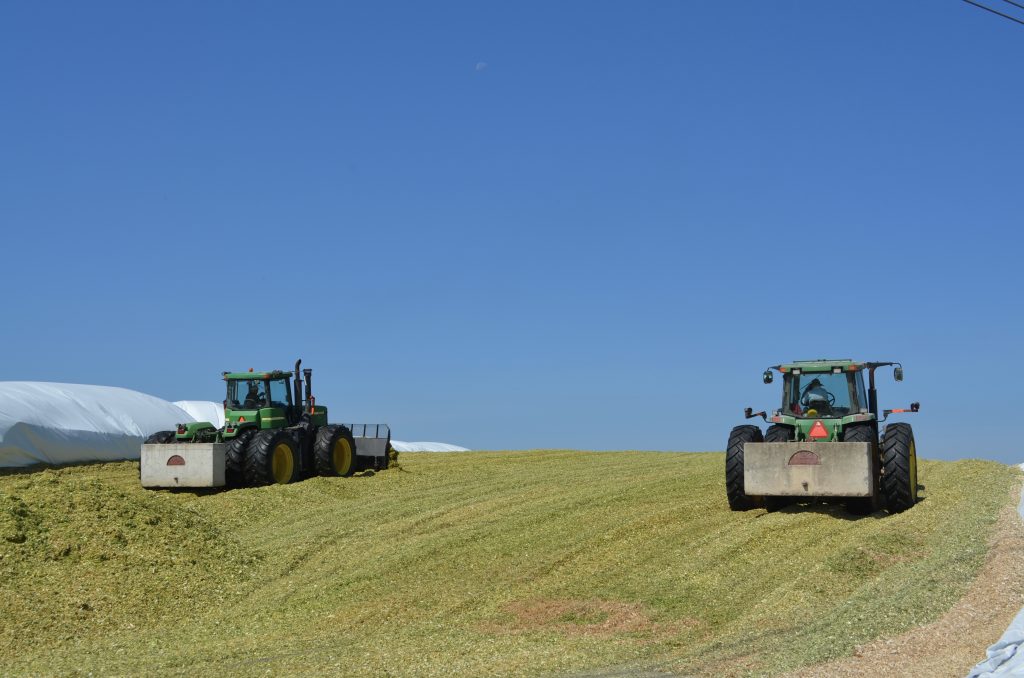 Forage 2026 | A balancing act: The science of silage 