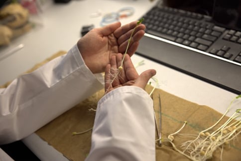 Forage 2026 | USDA-ARS National Laboratory for Genetic Resources Preservation: Sustaining the seeds of agriculture 