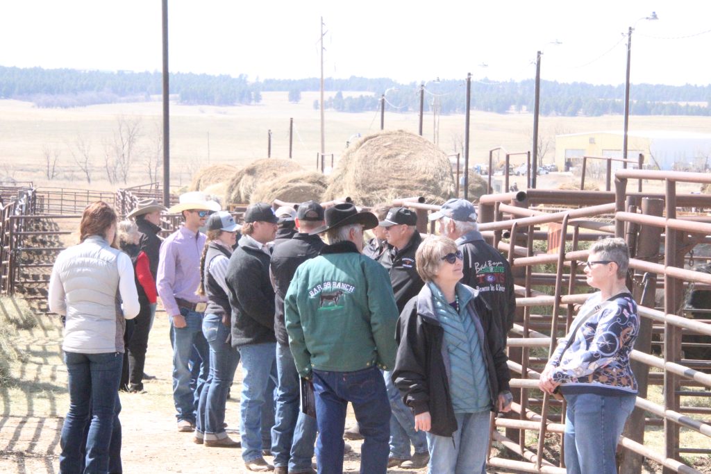 Bar 69 Angus 38th Annual Production Sale