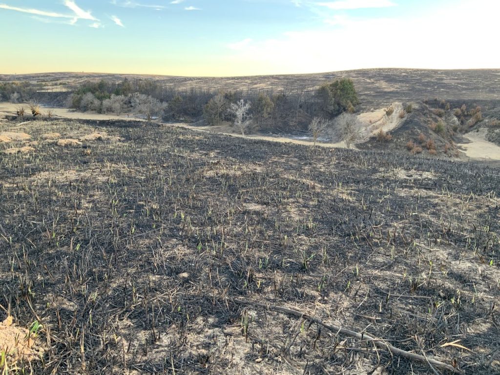 What comes next? Moving on after the Nebraska fires