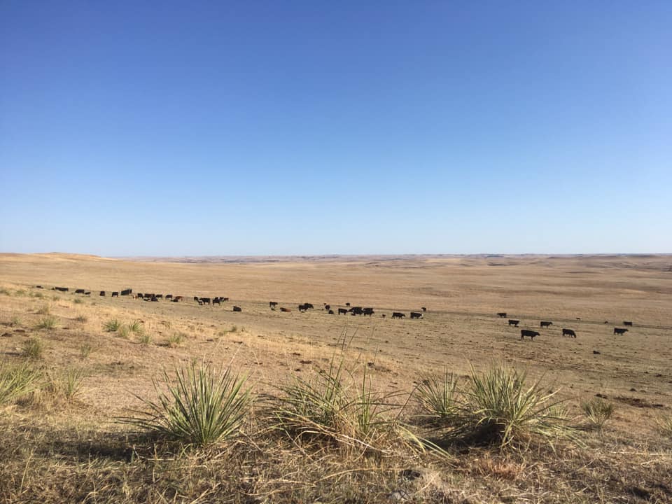 2026 Spring Homeland | Keeping Soil Healthy Despite Drought 