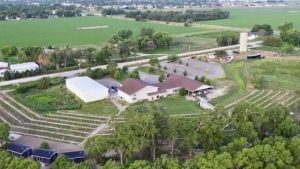 2026 Spring Homeland | Mac’s Creek Winery & Brewery 